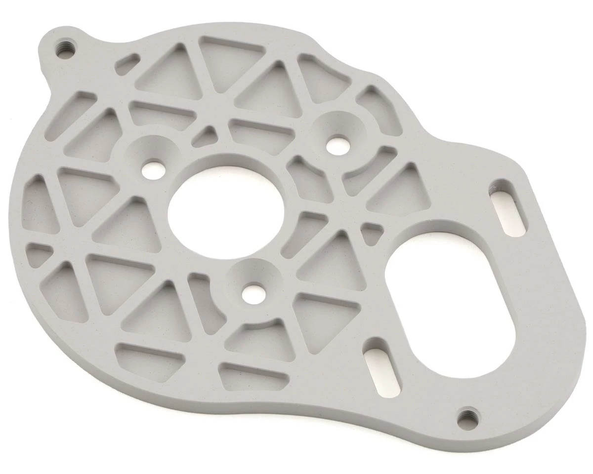 Team Brood -Mag DR10 Magnesium Motor Plate